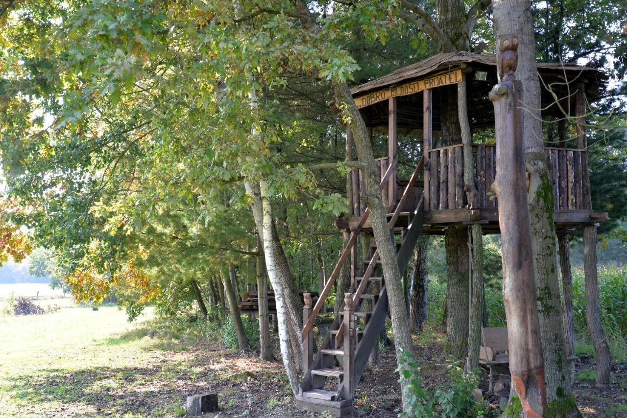 Old Oak House With Pool Βίλα Marusevec Εξωτερικό φωτογραφία