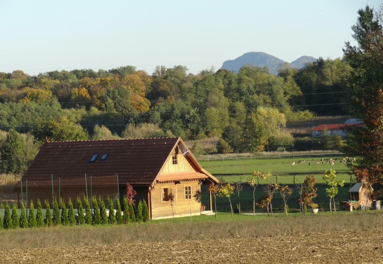 Old Oak House With Pool Βίλα Marusevec Εξωτερικό φωτογραφία