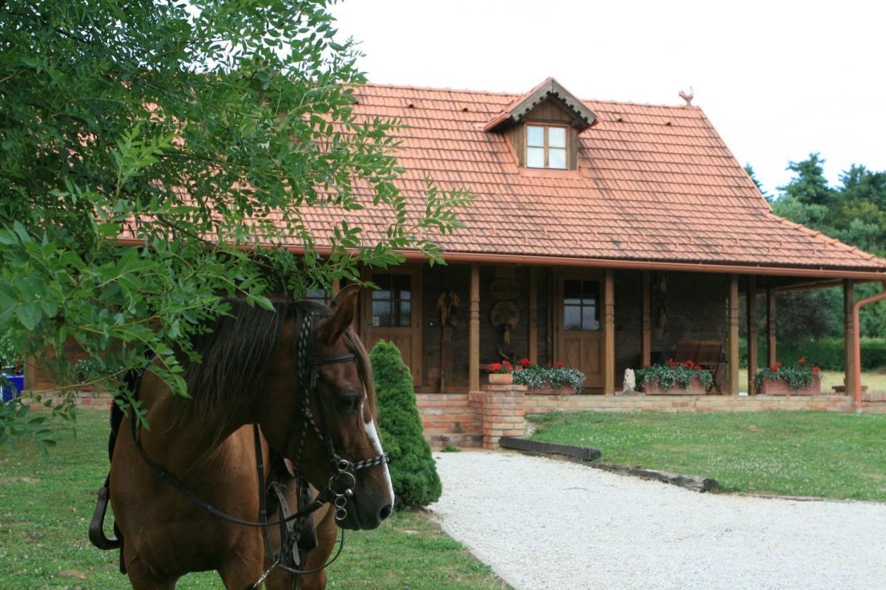 Old Oak House With Pool Βίλα Marusevec Εξωτερικό φωτογραφία